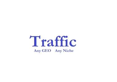 SEO Traffic Niche Traffic Worldwide or Any GEO for Growth