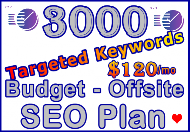 3,000 Targeted Keywords - Budget Offsite SEO Plan