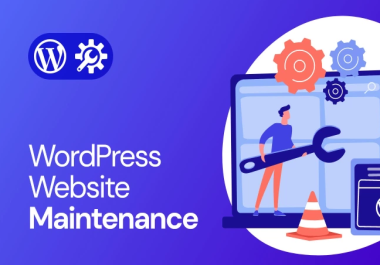 WordPress Maintenance Done in 24 Hours &ndash Premium Support Guaranteed