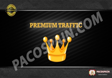 PREMIUM Targeted Visitors/Traffic To Your Website
