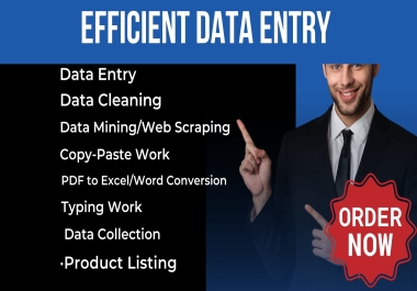 Most Accurate & Efficient Data Entry,  Copy Paste,  Web Research Services