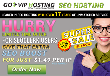 SEO Hosting For Better Search Engine Rankings