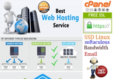 Web Hosting cPanel SSL + Softaculous 400 Apps For 30 Days - Pay Monthly 1