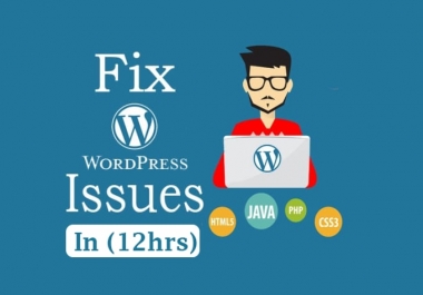 I will do maintenance, updates,  fixes to wordpress in 12 hours
