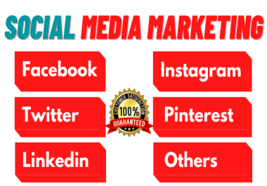 Social Media Optimization and Social Media Management