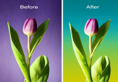 I will remove or change or blur background & photo editing on any image professionally