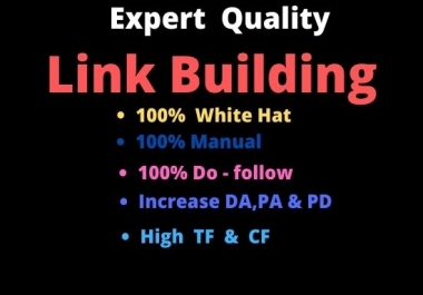 I will do 70 Link Building in High Da sites, Backlinks.