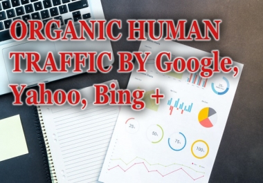 5000 Real Human Traffic daily for 10 days - Big promotion