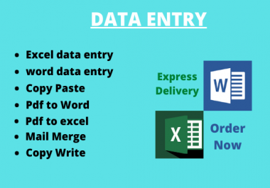 I wil do data entry word and excel, copy and paste, copy write