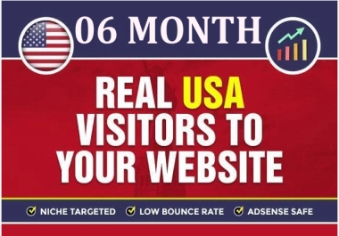 06 Month Organic USA Web Traffic Daily Real Visitors with Keyword Targeting