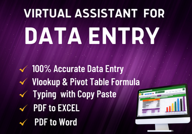 I will be your professional virtual assistant for Excel,  web research and Data entry work.