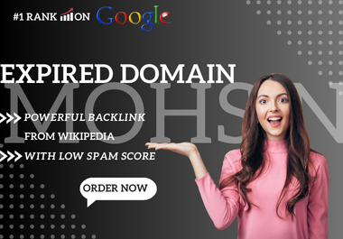 I Will Find Expired Domain with Wikipedia Backlink