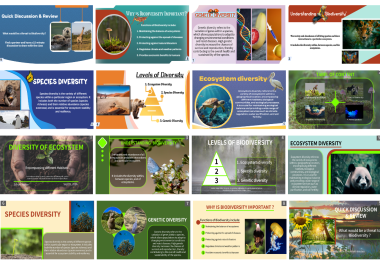 I will design business and educational powerpoint and canva presentation