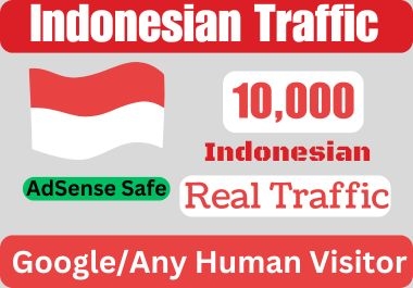 10,000 Indonesia TARGETED Organic Web Traffic to your website