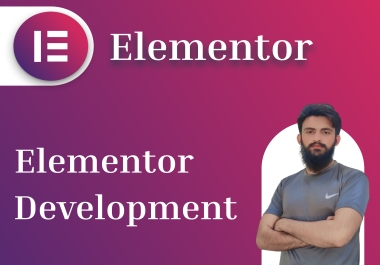 WordPress Elementor Developer Expert Web Developer