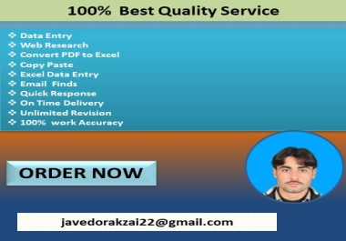 You will get all type of Data Entry Services