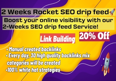 TURBOCHARGE YOUR WEBSITE 14-Day SEO Drip Feed Service