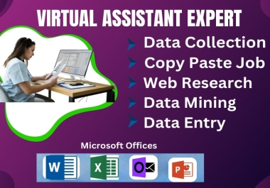 I will be your Virtual Assistant,  Data Entry,  Copy Paste and Web Scraping