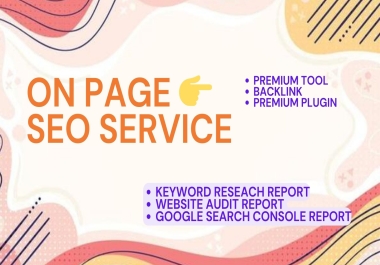 We provide you with on page SEO services