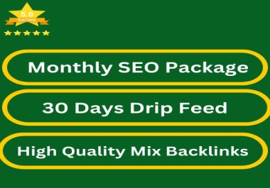 Powerful Monthly SEO packages 30 days Drip Feed High Ranking Formula Google Friendly Off page