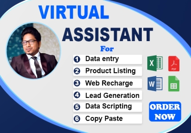 Expert VA for Flawless Data Entry and Scripting