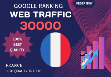 I Will Do Google Ranking Web Traffic For France