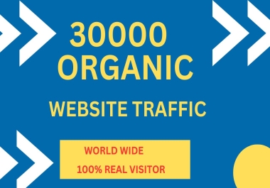 I will drive 30000 website traffic world wide