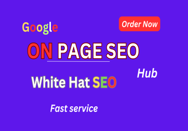 I will do monthly On page SEO of blogs and websites