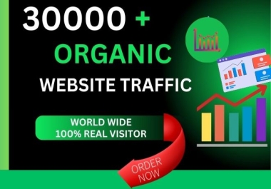 Boost Your Website with 30,000+ Organic Web Traffic