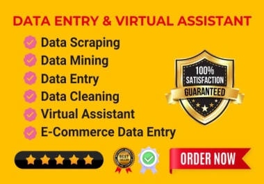 I will do data entry,  web research,  virtual assistant,  copy paste and data mining