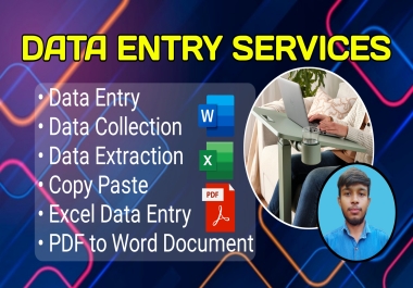 Expert Data Entry Services Fast & Accurate Data Entry Solutions on SEOClerk