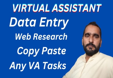 I will virtual assistant,  data entry,  web research,  copy paste work