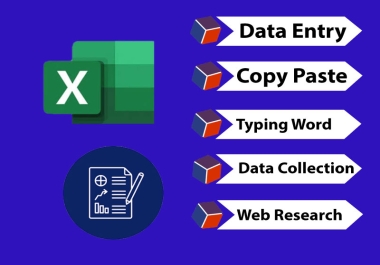 I will do data entry,  copy paste and excel data entry jobs