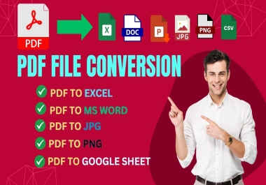 Professional PDF to Excel,  Word,  JPG,  PNG,  and Multi-Format Conversion Services