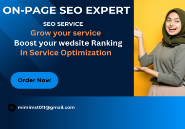 I will provide SEO Website Ranking Service