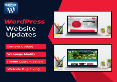 I will fix wordpress issues bug fixing website content update
