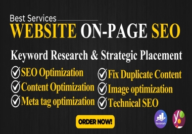 I will Optimize On Page SEO on your website for Higher Rankings on Google SERP