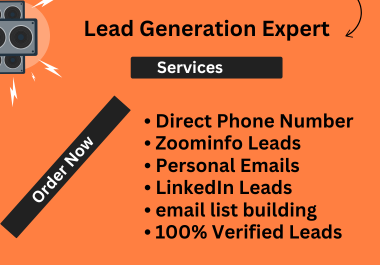 I will find direct phone number and b2b leads using sale navigator and lusha