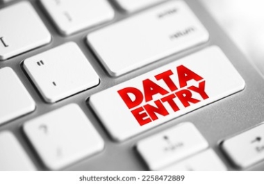 I am data entry expert and professional data entry operator