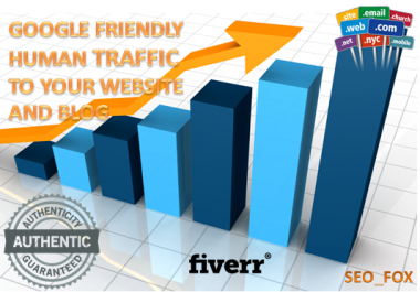 USA Targeted Website, Blog Traffic