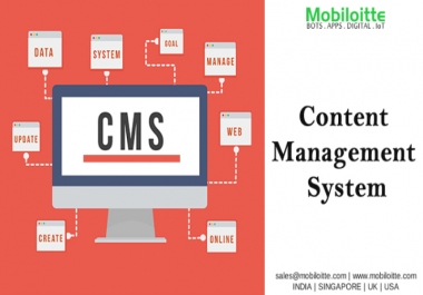 CMS Development Services